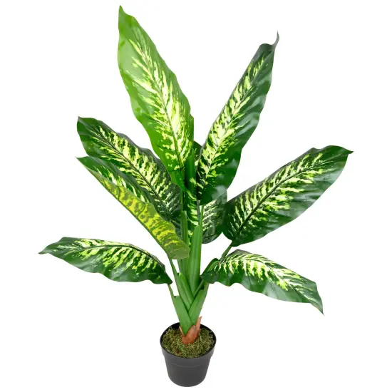Northlight Artificial Variegated Dieffenbachia Leaf Potted Plant - 36" Green {5}