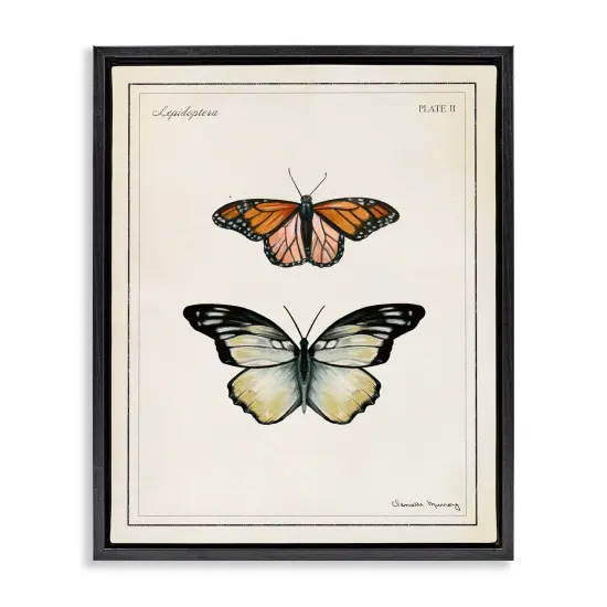 Stupell Industries Manor House Butterflies Floating Frame By Danielle Murray {1}