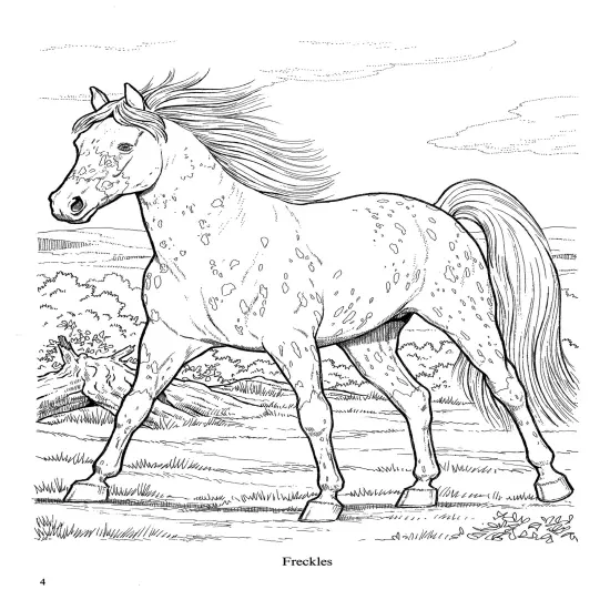 Wonderful World Of Horses Coloring Book-Softcover {4}