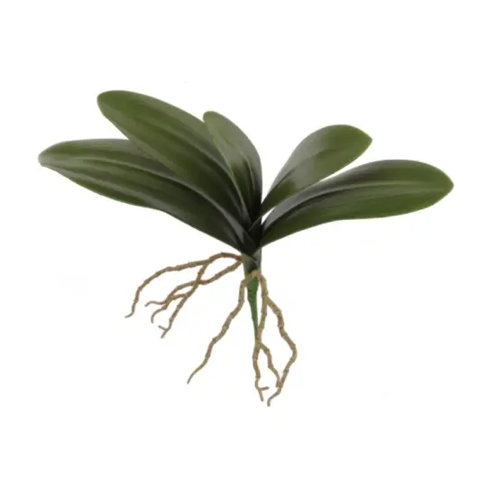 15" Phalaenopsis Leaf Cluster- 3 PACK {1}