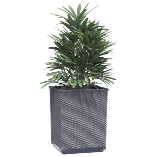 vidaXL Planters 2 pcs Dark Gray 11.8"x11.8"x14.6" Polypropylene {3}