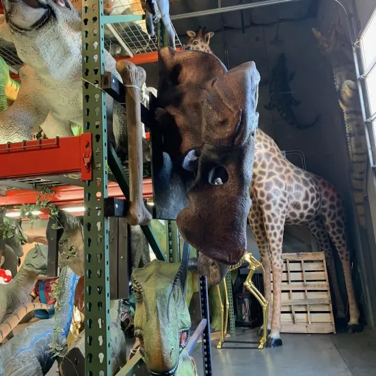 T-Rex Skull Wall Decor Life Size Statue {6}