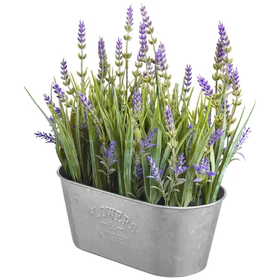 Haute Decor 10 Inch Lavender in Galvanized Metal Pot {1}