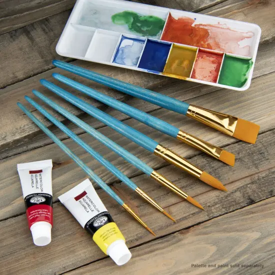 RSET-9182 | 6pc Golden Taklon Variety Brush Set {3}