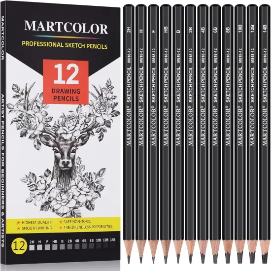 Drawing Sketching Pencils Set, 12 Pack Graphite Pencils(14B - 2H), Ideal for Drawing Art, Sketching, Shading, Artist Pencils for Beginners & Pro Artists {1}