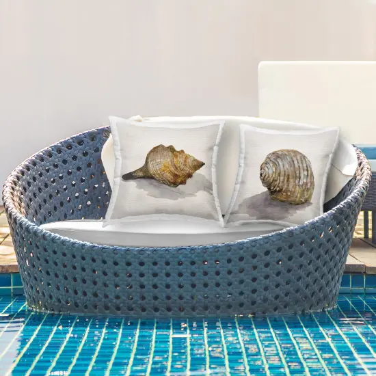 Natural Seashells with Shadow 2 PC Outdoor Printed Pillow Set Design by Jacob Q, 18 x 7 x 18 {2}