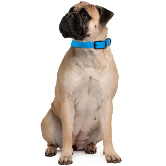 MiMu Large Silicone Dog Collar - Blue 30in Stylish Dog Collar with Prong Buckle {7}
