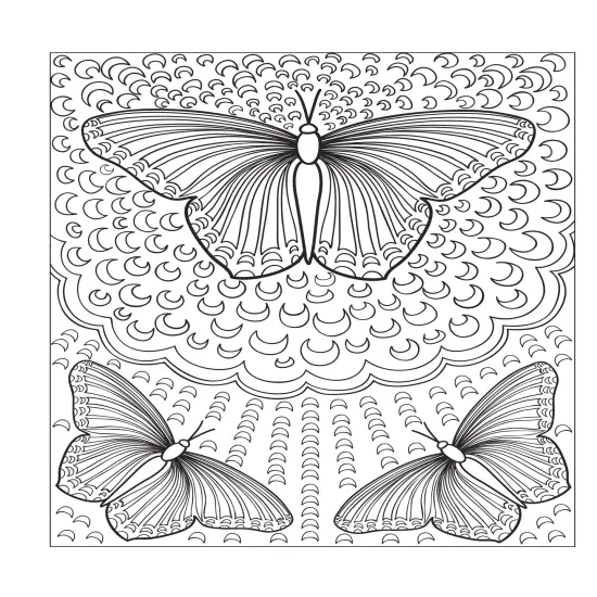Creative Haven: Beautiful Butterfly Coloring Book-Softcover {4}