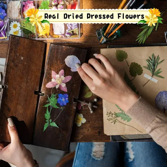 167 Pcs Real Dried Pressed Flowers {4}