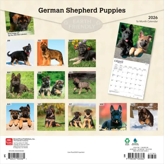 German Shepherd Puppies | 2026 12 x 24 Inch (Hanging) Monthly Square Wall Calendar | Plastic-Free {2}