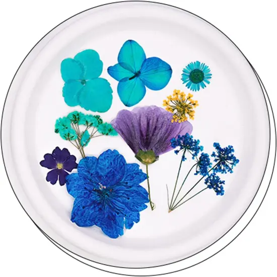 30Pcs Dried Pressed Flowers for Resin DIY {3}