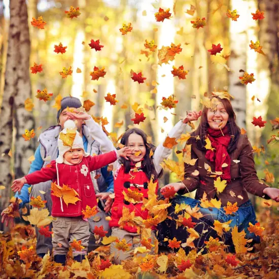 1200PCS Multicolored Fall Artificial Maple Leaves {2}