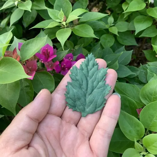 Artificial Leaves 50 Pcs Handmade Mulberry (Sunflower Leaves Green Tone) {4}