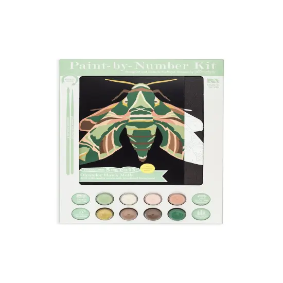 Oleander Hawk Moth | 8x10 paint-by-number kit {1}