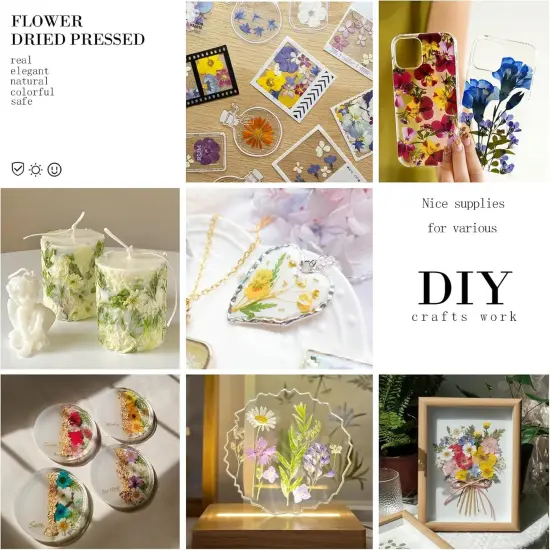 84Pcs Black Dried Pressed Flowers {4}