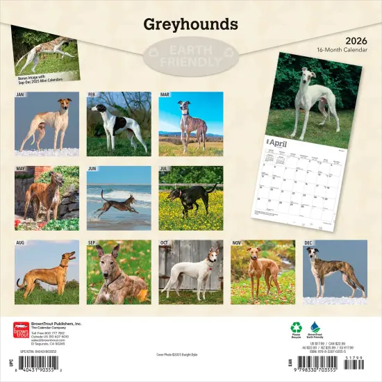 Greyhounds | 2026 12 x 24 Inch (Hanging) Monthly Square Wall Calendar | Plastic-Free {2}