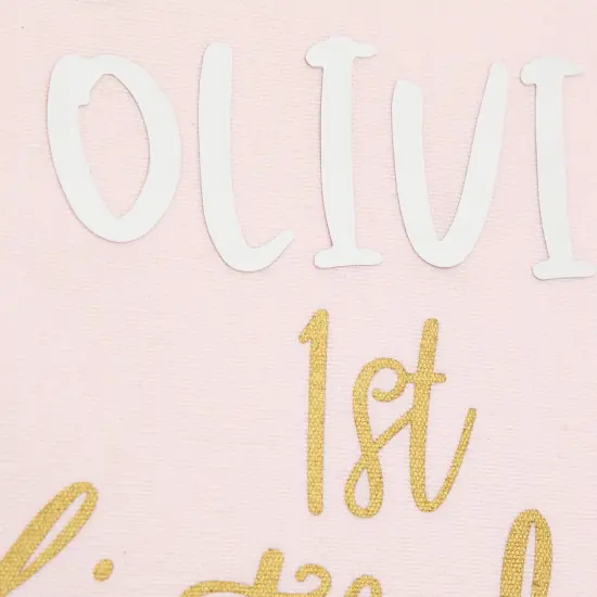 Custom 1st Birthday Backdrop for Girls First Birthday Party Photo Backdrop (10 x 11.75, Pink) {5}