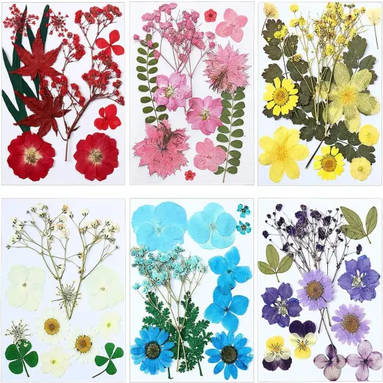72 Pcs Dried Pressed Flowers for Resin Molds {1}