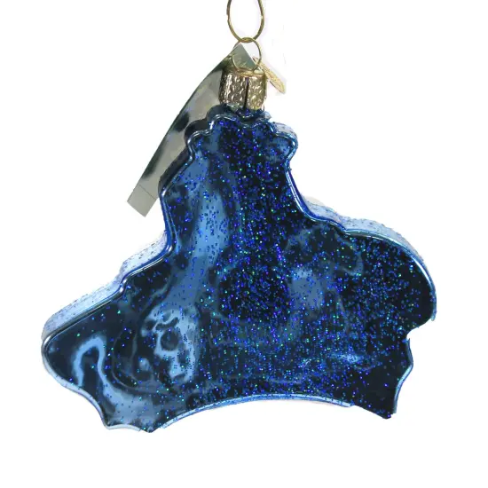 Old World Christmas 4.0 Inch Hawaiian Islands Tree Ornament , Aloha State Vacation Blue {2}