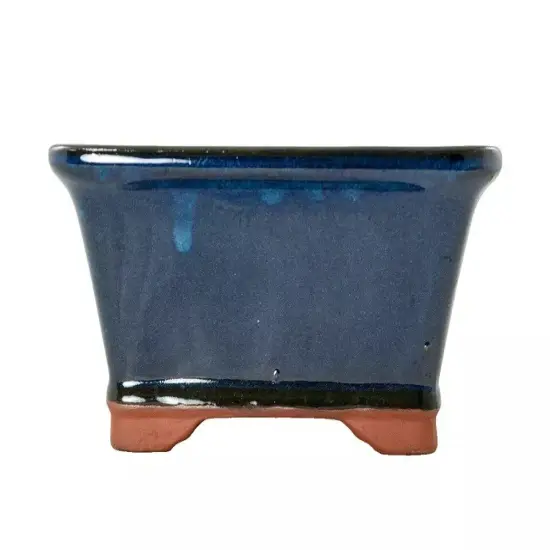 Rectangular Shohin Bonsai, Succulent Pot 6.25"x 5"x 2.75" w / Mesh - Dark Blue {2}