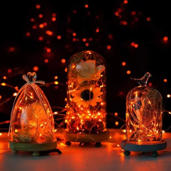 2 Pack Orange String Lights for Halloween 30 LED {3}