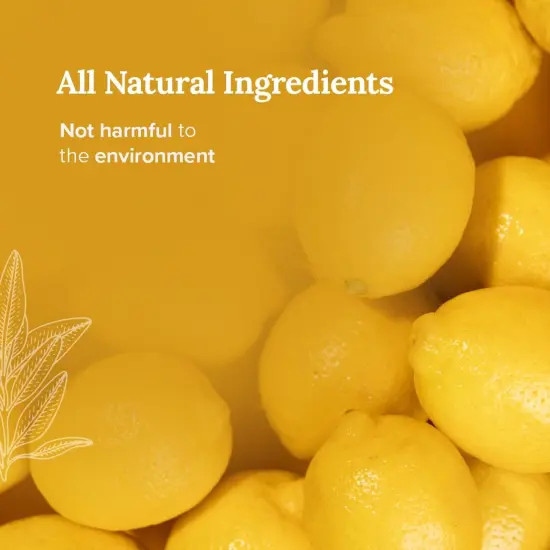 Magnificent 101 Set of 3 Long-Lasting Money Financial Freedom Smudge Candles | 3.5 Oz Each - 42 Hour Burn | Made of Soy Wax, Sage Herbs for House Energy Cleansing & Manifestation Multicolor {3}