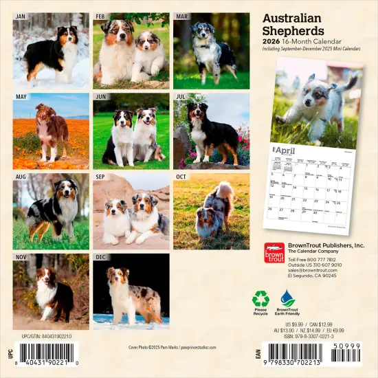 Australian Shepherds | 2026 7 x 14 Inch (Hanging) Monthly Mini Wall Calendar {2}