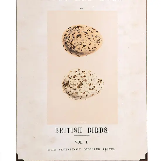 British Eggs Easter Spring Wall Art Set of 3 {4}