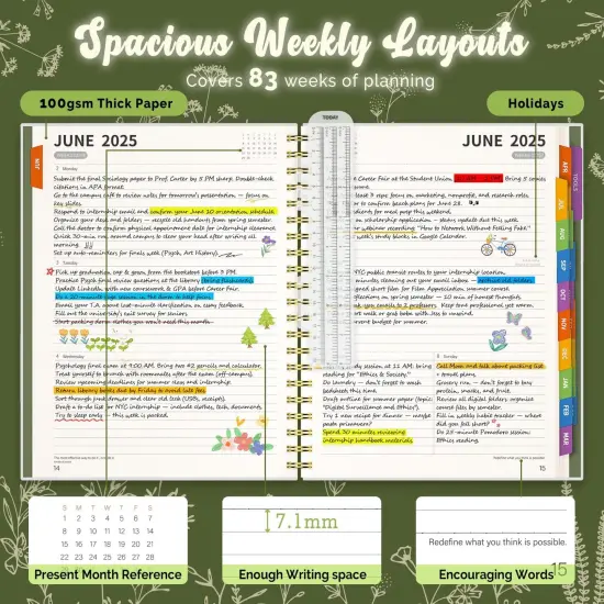 Academic Planner 2025-2026 - 8.5" x 11" (Sage Green) {3}