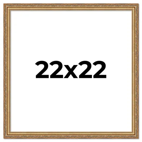 22x22 Museum-Quality Picture Frame with UV-Resistant Acrylic & Acid-Free Backing, Available in 4 Finishes - Gold, Silver, Bronze, and Black {1}