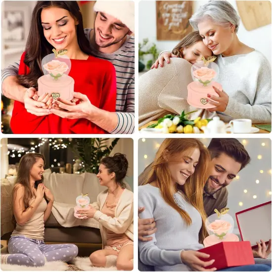 Apple-Shaped Preserved Real Rose Box with Necklace {4}