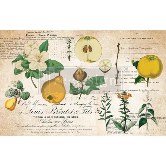 Decoupage Decor Tissue Paper - Primrose - 1 sheet, 19"x30" {1}