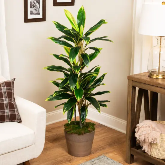 Northlight Real Touch&trade;️Artificial Potted Two Tone Dracaena Plant - 4.5' Green {1}