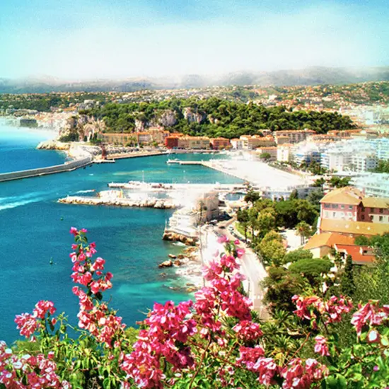 Charvin Extra Fine Oil Celadon Green Deep - 20ml, 60ml, 150ml {4}