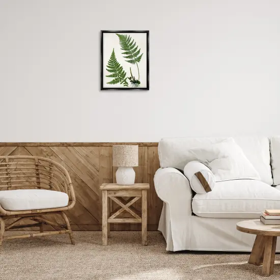 Stupell Industries Two Ferns Nature Study Floater Framed Canvas Wall Art Design by Susan Arnot {2}