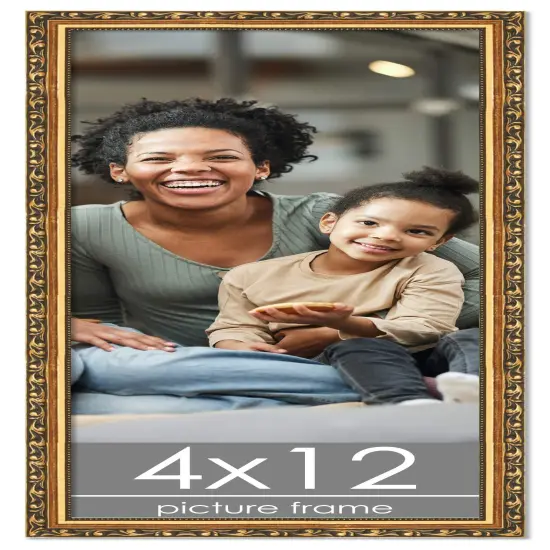 4x12 Museum-Quality Picture Frame with UV-Resistant Acrylic & Acid-Free Backing, Available in 4 Finishes - Gold, Silver, Bronze, and Black {1}