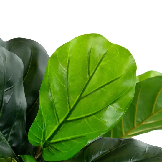 Northlight Potted Two Tone Green Artificial Wide Fiddle Leaf Fig Tree - 6.25' {6}
