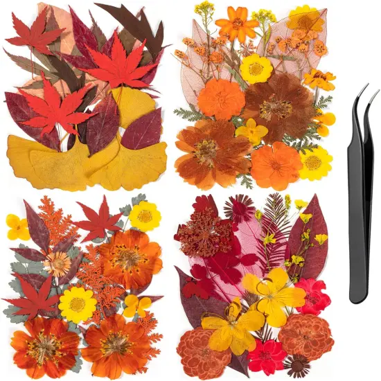 78 Pcs Fall Dried Pressed Flowers -Brown, Yellow {1}