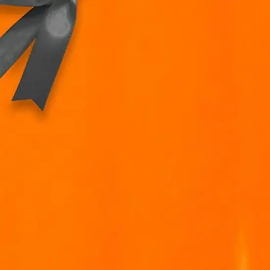 Premium Solid Wrapping Paper 26" x 417' 60 lbs for Stylish Presentations {6}