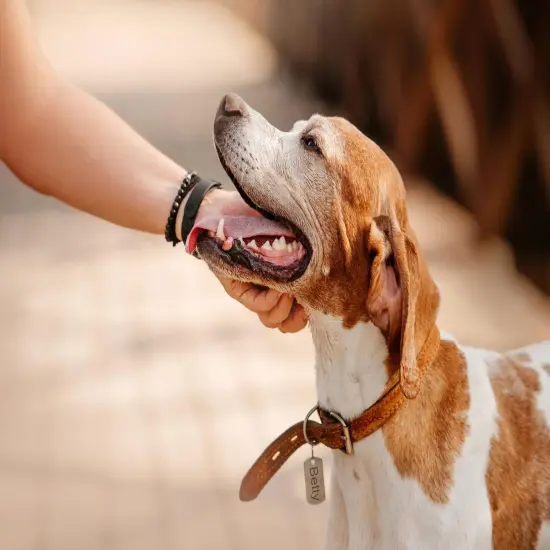 37pcs Metal Stamping Kit, 3mm(1/8") Number and Letter Stamp Set, Include Artistic Font Uppercase, Number Punch and Heart Design Stamp(37pcs 3mm) {3}