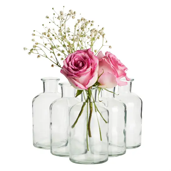 Small Clear Vases for Centerpieces, Glass Propagation Jars for Stems, Flower Buds, Apothecary Style Home D&eacute;cor (2.8x5 In), 6-Pack {6}