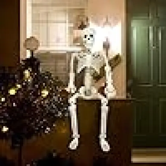 Realistic Full Body Movable Posable Joints Skeleton {5}