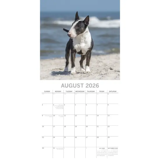 The Gifted Stationary 2026 Square Wall Calendar, Bull Terriers, 16-Month Animals Theme Hanging Calendar with 180 Reminder Stickers, Month Planner for Home, or Creative Spaces, 12x12 In Multicolor {3}