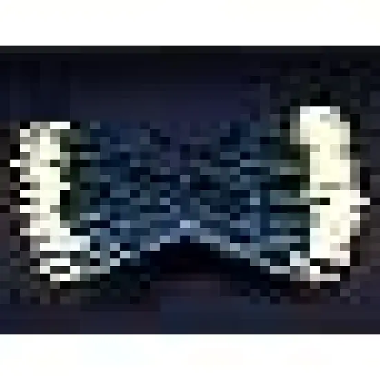 Count Warm White LED Christmas String Lights {4}