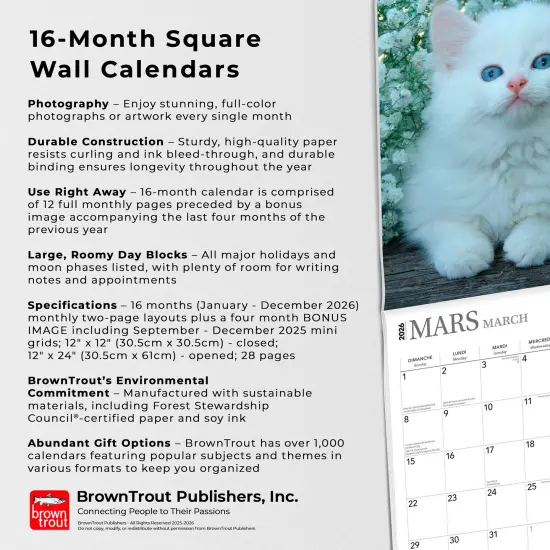 Chatons | 2026 12 x 24 Inch (Hanging) Monthly Square Wall Calendar | French Language {6}