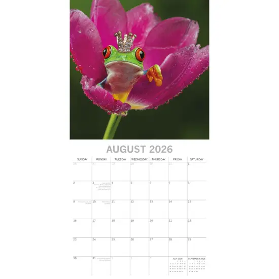 The Gifted Stationary 2026 Square Wall Calendar, Fabulous Frogs, 16-Month Animals Theme Hanging Calendar with 180 Reminder Stickers, Month Planner for Home, or Creative Spaces, 12x12 In Multicolor {3}