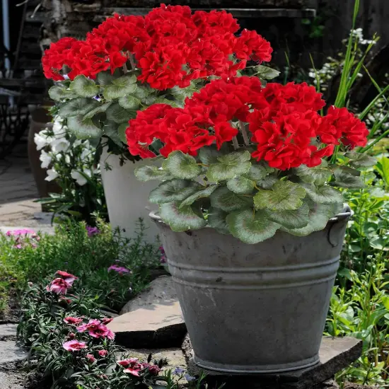 Summer Bushes Artificial Geraniums Flowers for Outdoors {4}