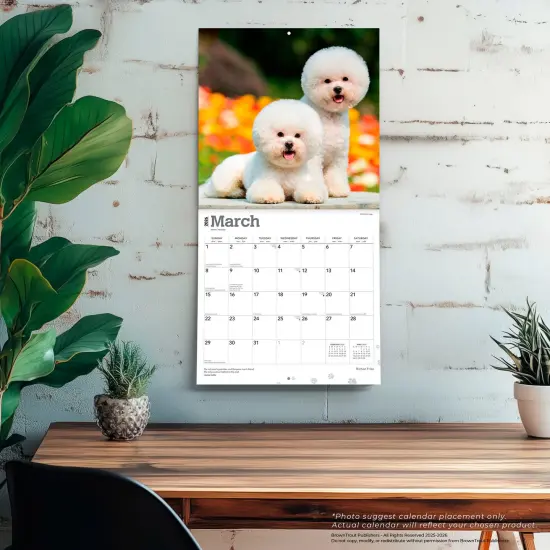 Bichon Frise | 2026 12 x 24 Inch (Hanging) Monthly Square Wall Calendar | Plastic-Free {5}