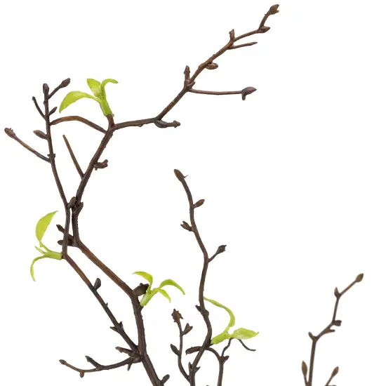 Northlight Curly Willow Artificial Sprays - 34" - Green - Set of 4 {6}