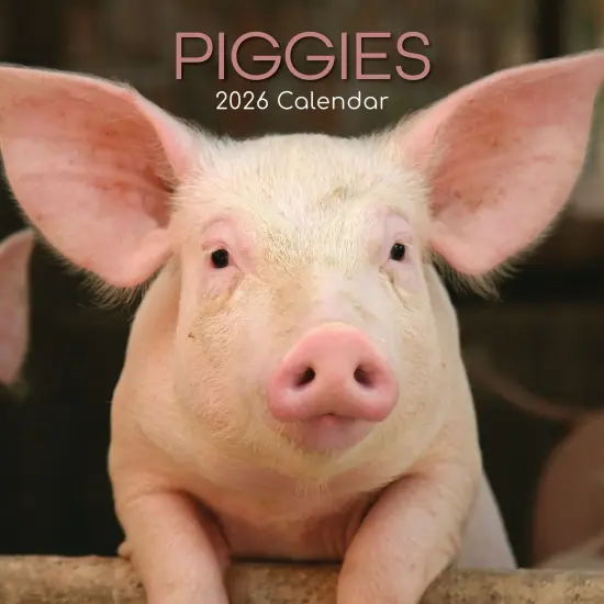 The Gifted Stationary 2026 Square Wall Calendar, Piggies, 16-Month Animals Theme Hanging Calendar with 180 Reminder Stickers, Month Planner for Home, or Creative Spaces, 12x12 In Multicolor {1}
